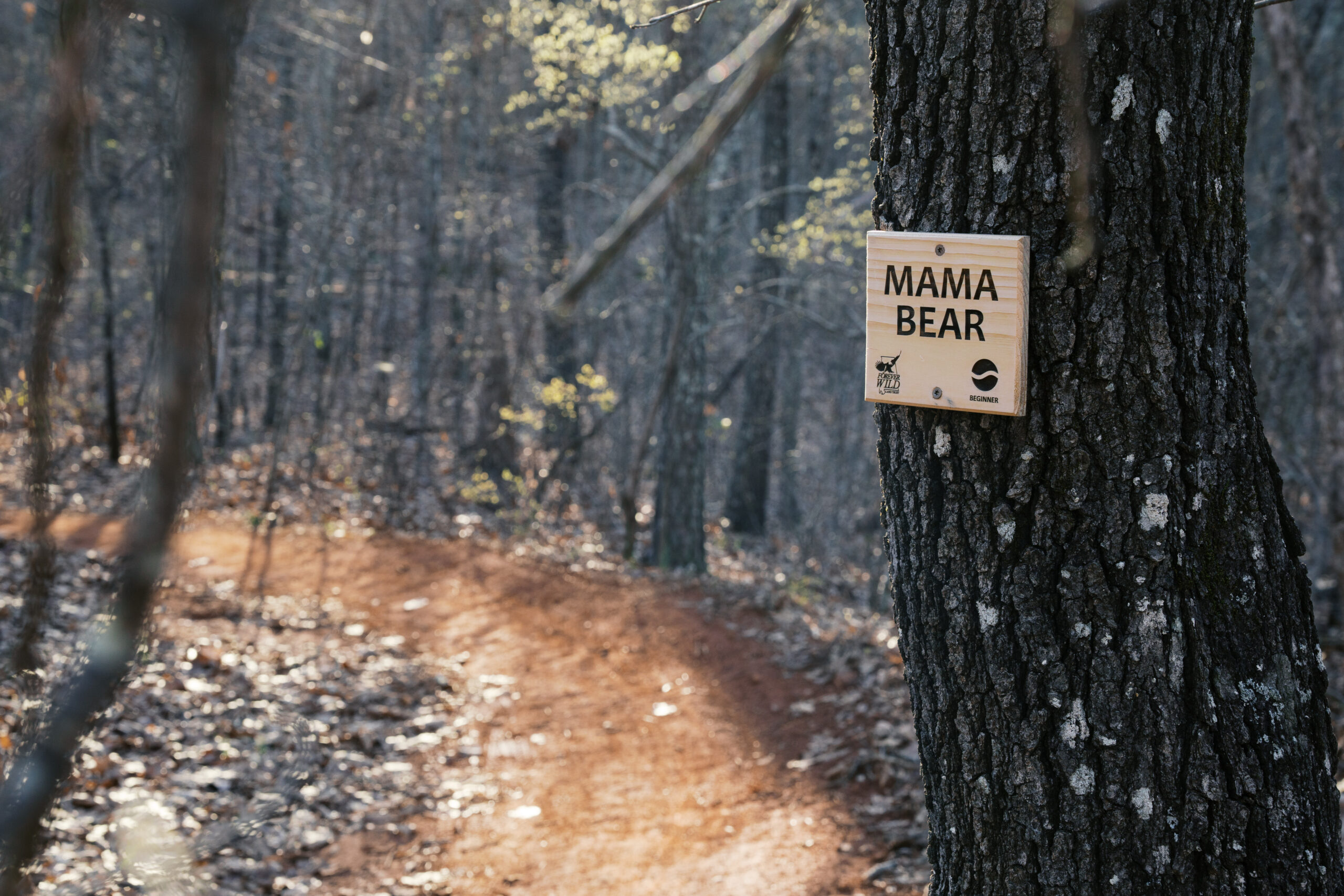 Life Time: Coldwater Trail
